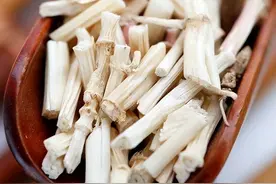 像甘蔗一样甜的白茅根，还是治疗多种病症的好药图片