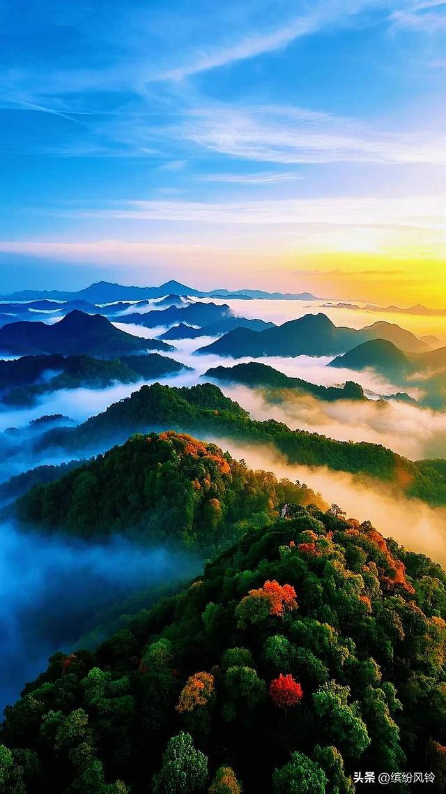 晨雾漫过秋山肩，层林燃作赤金焰