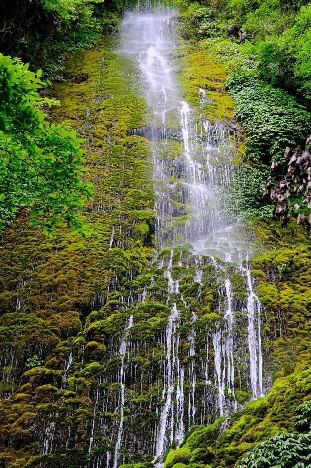 秘境新发现！比起青城山，我更爱它旁边0元的隐藏瀑布，超好玩！