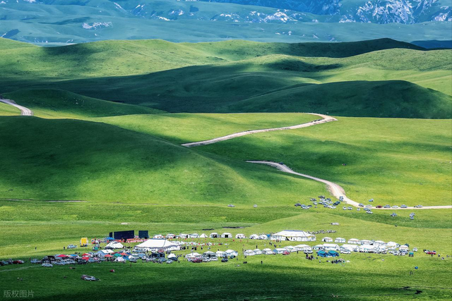 甘南避暑之旅：20℃草原风情与自然的绝美邂逅