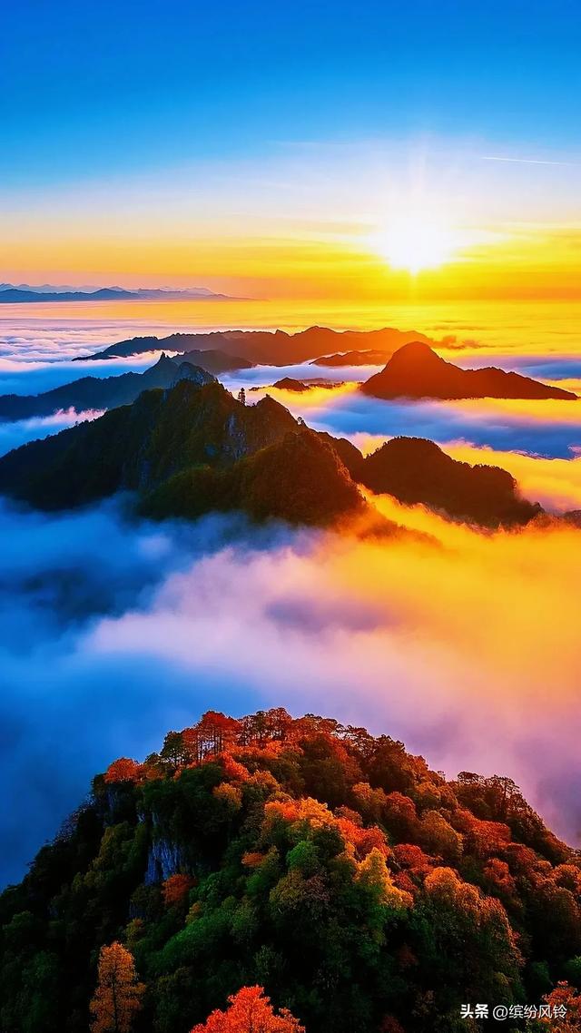 晨雾漫过秋山肩，层林燃作赤金焰