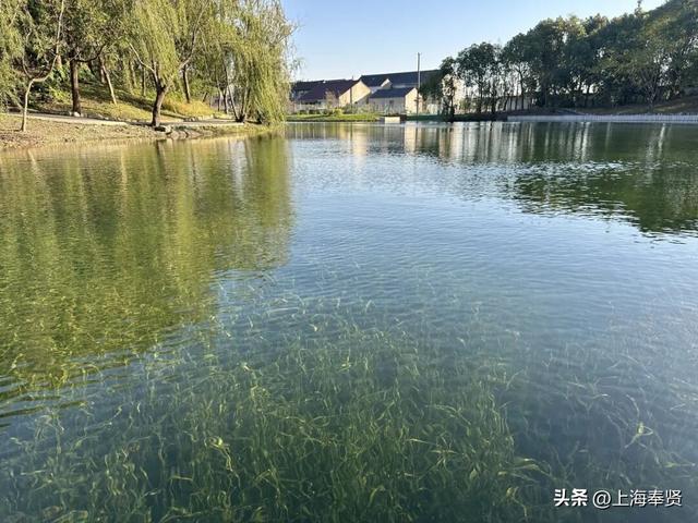 漫步河畔•贤美生活