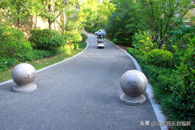 首阳山路上·骤遇老学生·及其它