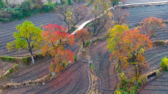 大别山中徐凤冲