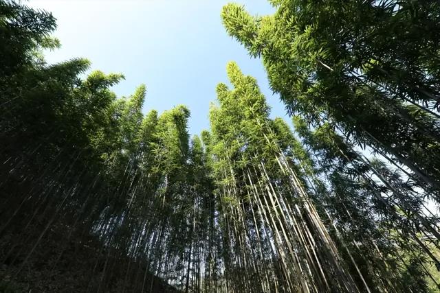 肇庆怀集中洲河河湾文旅项目即将试运营