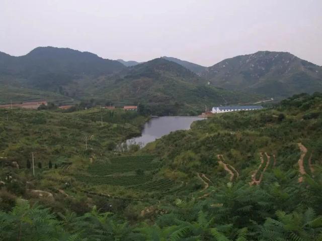 一键解锁济南山岳各种风景，每一处都值得N刷打卡！