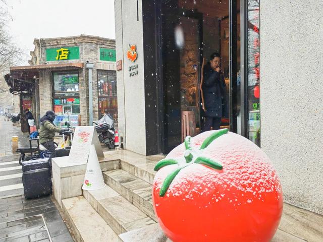 下了!下了!快来东城赏雪吧!