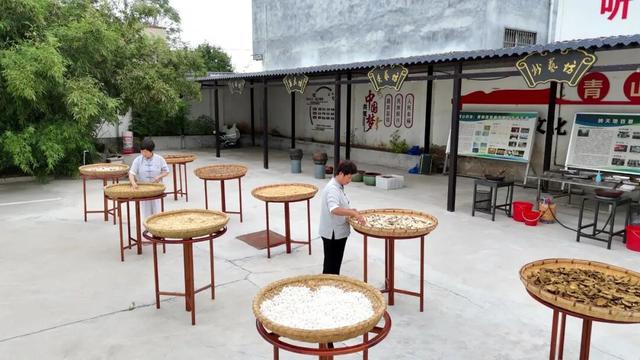 十一专辑 | 2025许昌市国庆文化和旅游消费月开启，乐游三国、惠享自在！