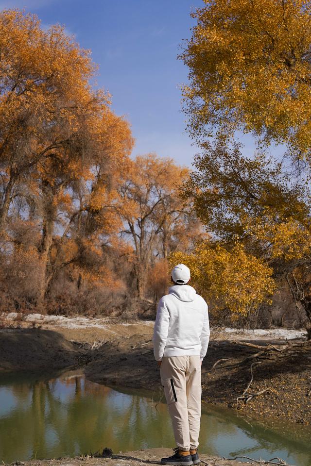 新疆沙雅｜自驾139胡杨秘境公路，一路驶进金色童话世界