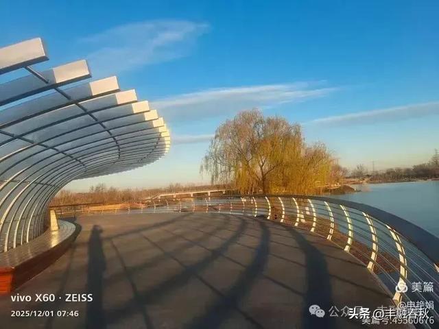 初冬北京朝阳坝河金盏淀:清寒里的静美画卷|申艳娟