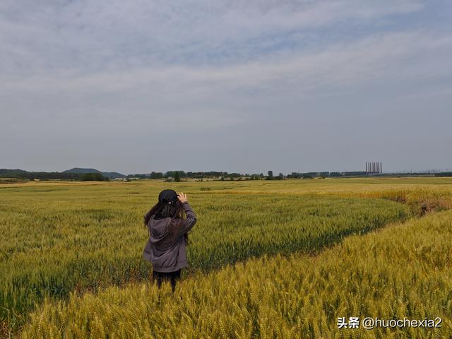 隔壁的城市走一走——镇江丁岗五七林场