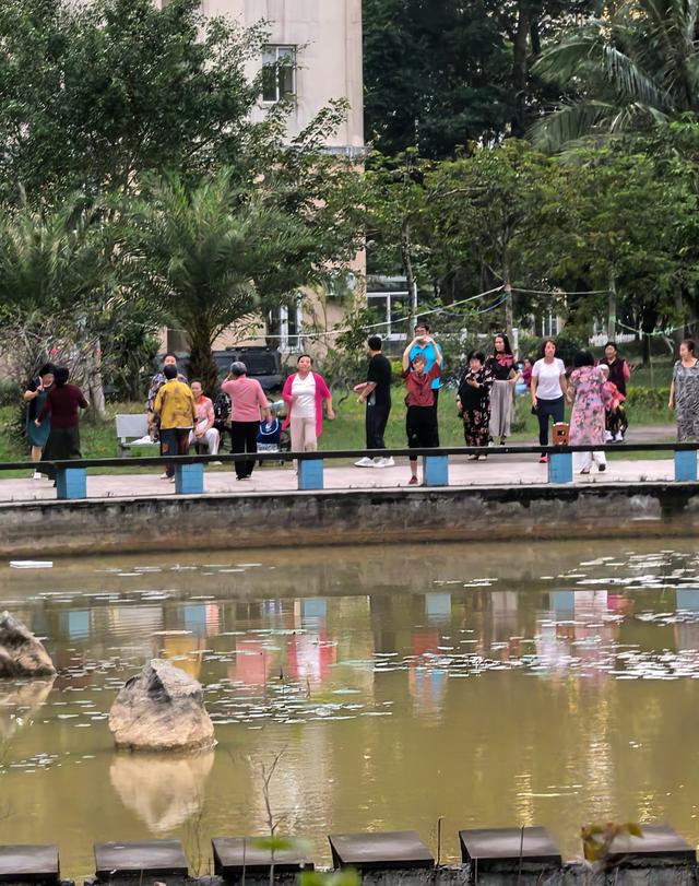 又回海南天来泉