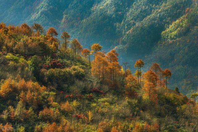 秋冬景观大道，10月下旬-11月，适合自驾赏秋的6条线路
