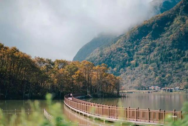 2025利州秋色，每一帧都是限定浪漫