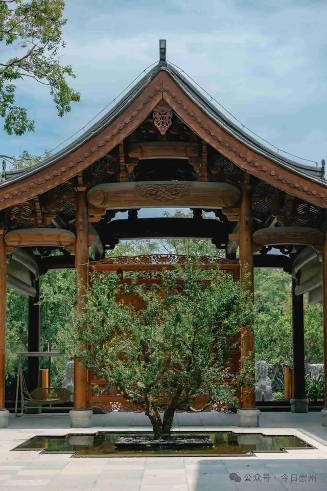 10月亮相！崇州新增一处度假地，邀你共赴诗和远方