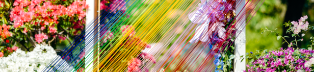 莲花山公园又上新了，现在就冲！