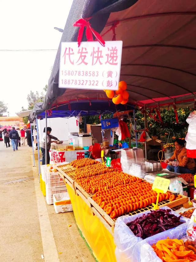 桂林：不入柿园，怎知秋色几许！