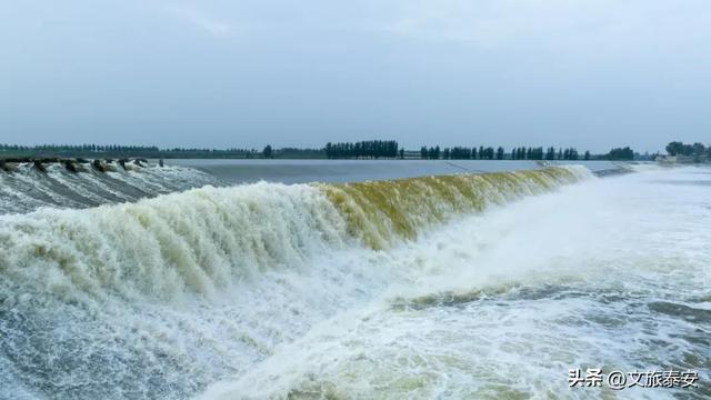 “北方都江堰”！秋日阳光洒在戴村坝，碎成万点金光！