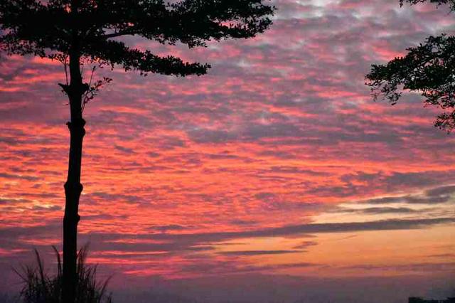 深活指南 | 重阳登高，收藏来自深圳山海的秋日问候​~