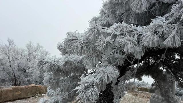 接下来的淄博，「冬日隐藏副本」藏不住了！