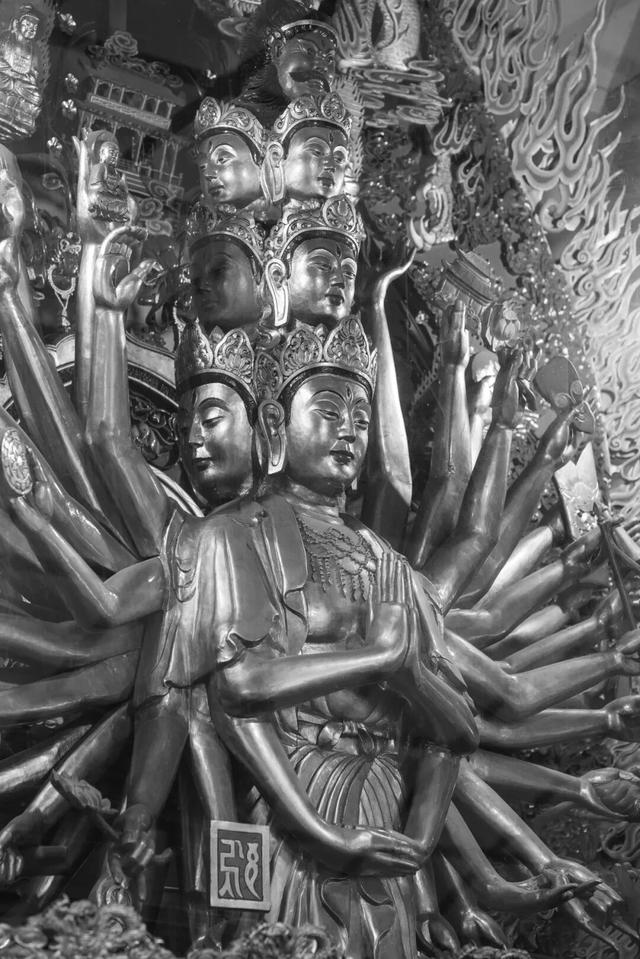 护国兴教寺，拜谒玄奘大师埋骨地