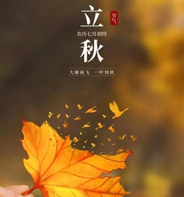 今年立秋“不一般”，有“三大”特点，与往年大不同！早看早准备
