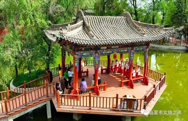 在临夏,把夏天过成诗——公园、夜景与音乐会的清凉邀约