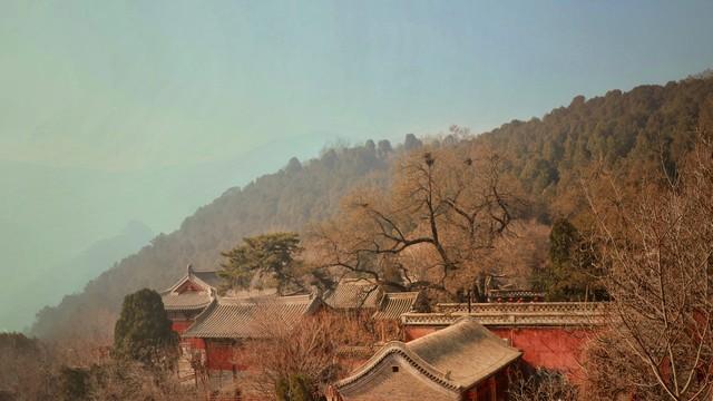 太山的方便面