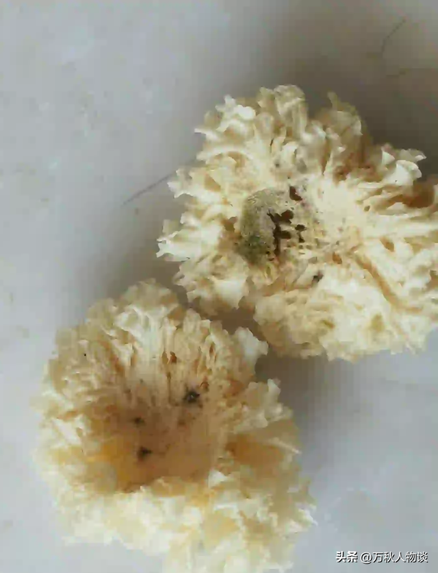 央视曝光！你以为没坏实际早已“细菌爆表”的5种食物，赶紧扔了