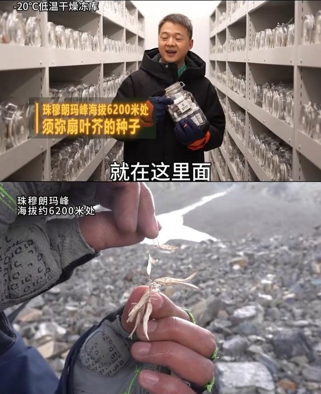 中国“诺亚方舟”首次曝光！亚洲最大生命库震撼世界