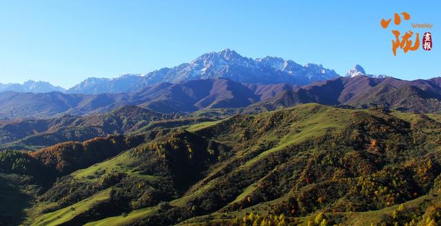 【小陇画报·434期】太子山：深秋画卷与初雪的浪漫邂逅