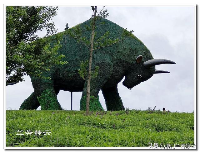 云南弥勒：太平湖森林公园的大地艺术作品