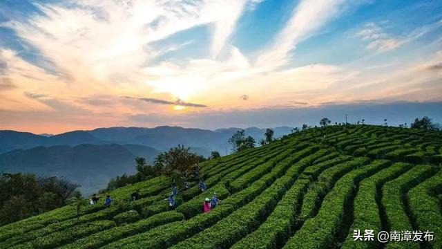 南漳板桥避暑记：一方山水桃源，一夏沁骨清凉