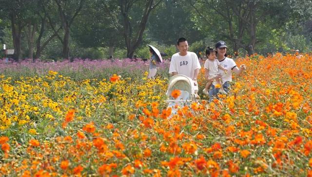 顺义文旅Slogan，由你定！