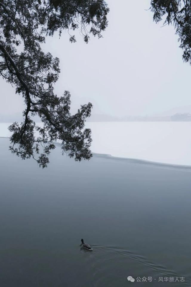 北京初雪，雪中颐和园太有意境了