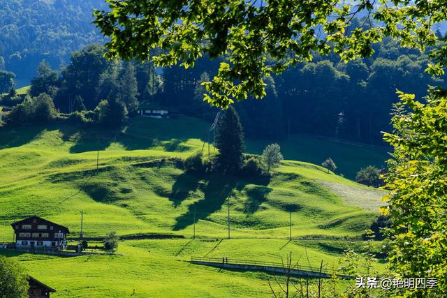 欧游杂记（4）‖ 从因特拉肯到卢塞恩，最大的惊喜是途中的龙疆