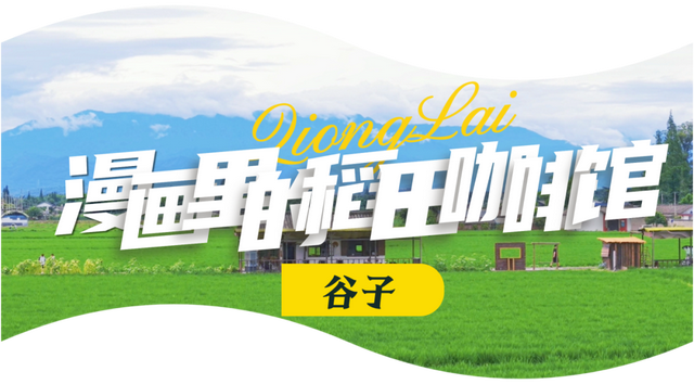 夏崃｜在稻浪绿海中，邂逅漫画夏天与“岛屿”假日
