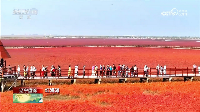盘锦|文旅火“出圈” 城市更“出彩”