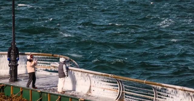 大数据来了！冬日大连的“头号粉丝”是→