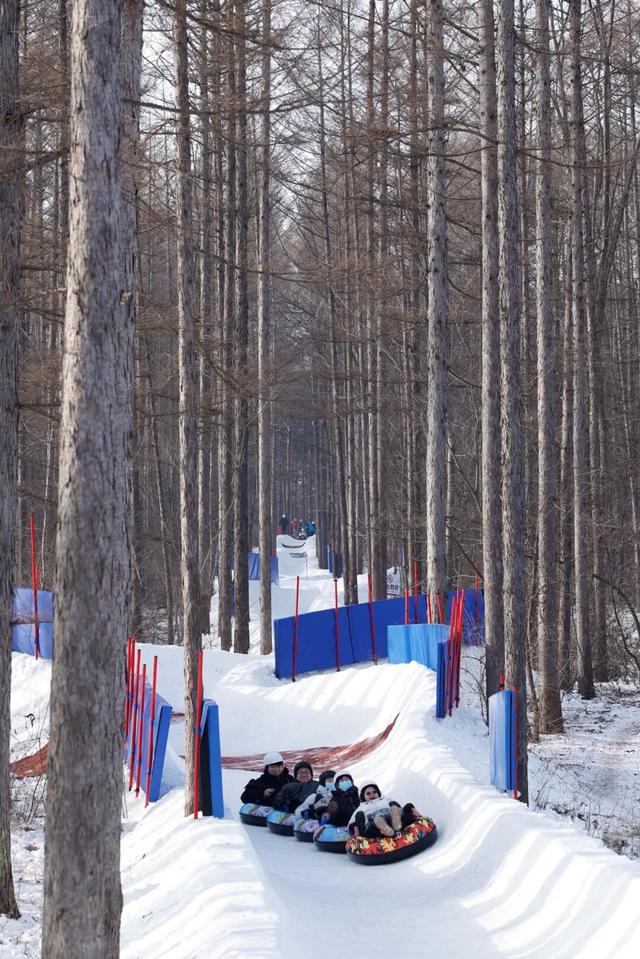 宝子们~66元起+超长有效期！这波优惠，你们喜欢吗