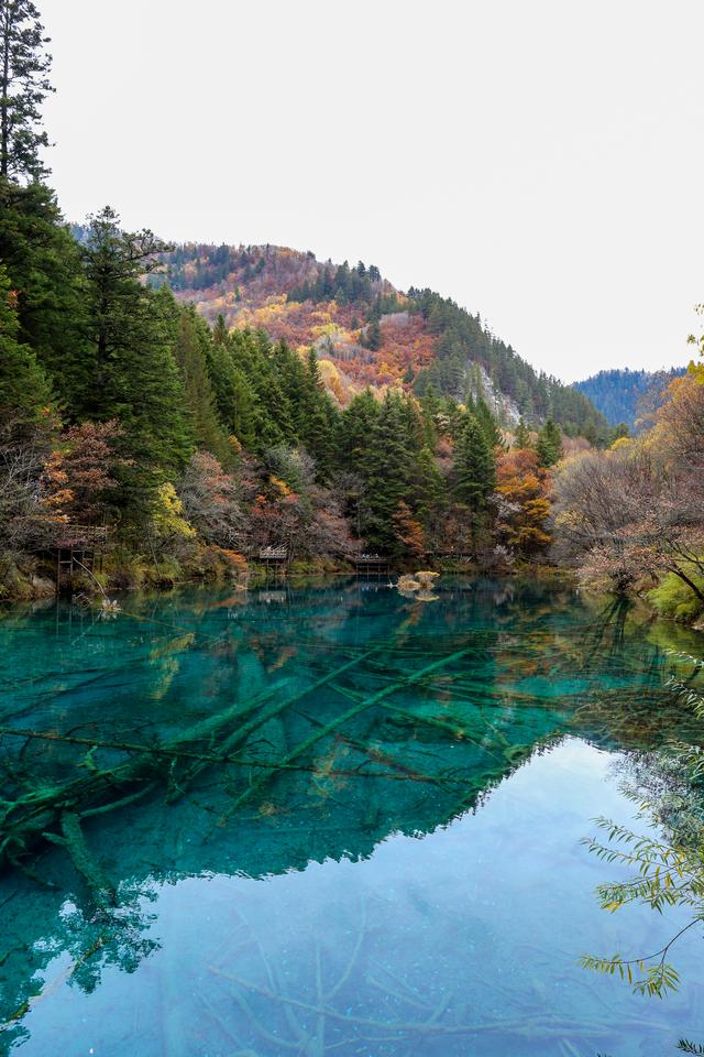 光影札记 | 秋染九寨：一半湖水蓝，一半山林红