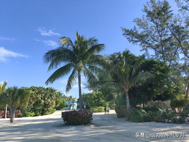 Wonder of the seas海洋奇迹号（5天4晚海上游轮）