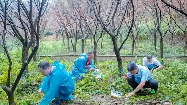 野外仅存600多只！浙江4人徒手抓26只，价值10多万