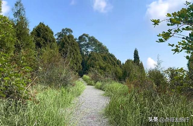 成都金堂被严重低估的徒步路线，成都的天路，免费不要门票！