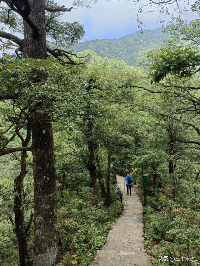 无为在歧路，贵州六日行（15）～梵净山