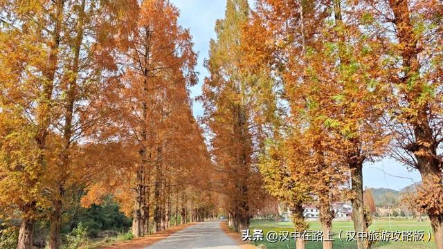 汉中洋西路自驾邂逅冬日限定美景！