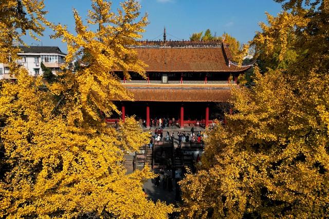 彩林、银杏、红叶...成都周边最值得去的8个景点