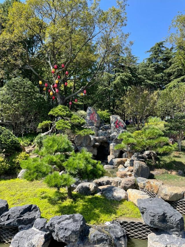 无锡没想到，常州没想到，泰州就这么静悄悄的出圈了！