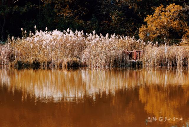 冬日暖阳下，打卡贵阳观山湖公园的绝美风景
