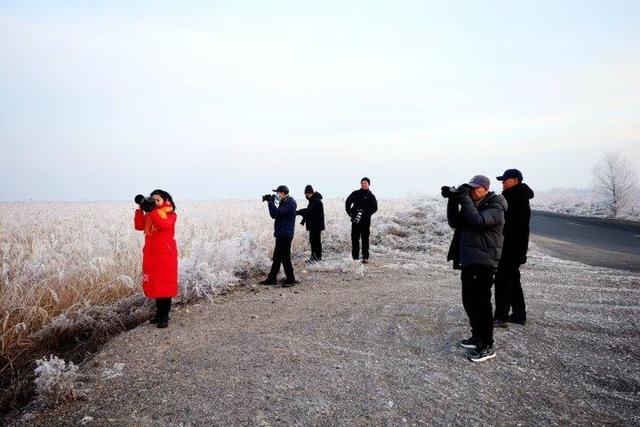 大雪时节台安雾凇绽放 绝美风光引客打卡